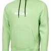 DKNY Sport Large Logo Hoodie - Pale Sage